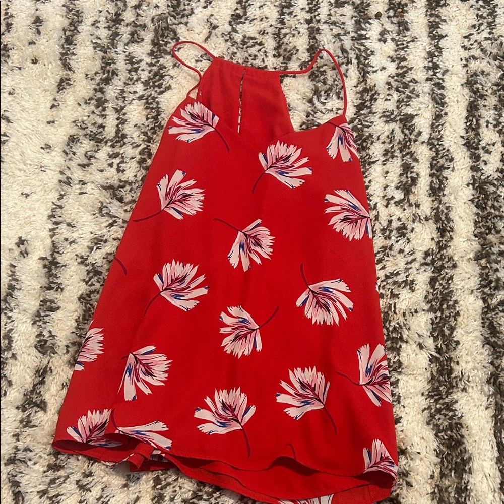 Express Red Floral Blouse